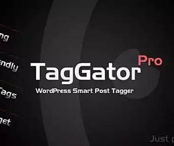 TagGator Pro – 自动标签wordpress插件