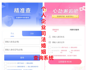 精准查全国个人企业司法涉诉涉案件失信曝光执行背调婚姻查询网站系统源码